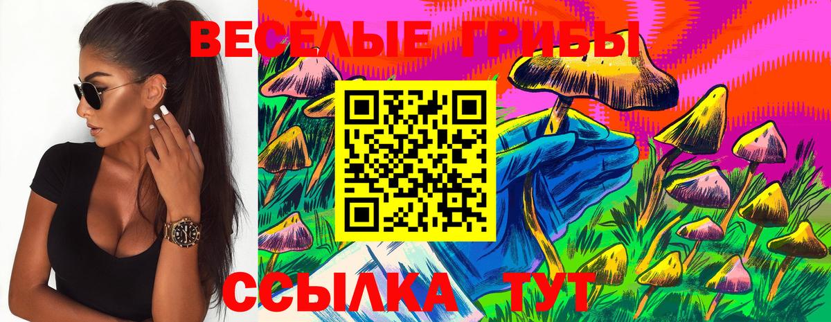 Галлюциногенные грибы ЛСД Северобайкальск