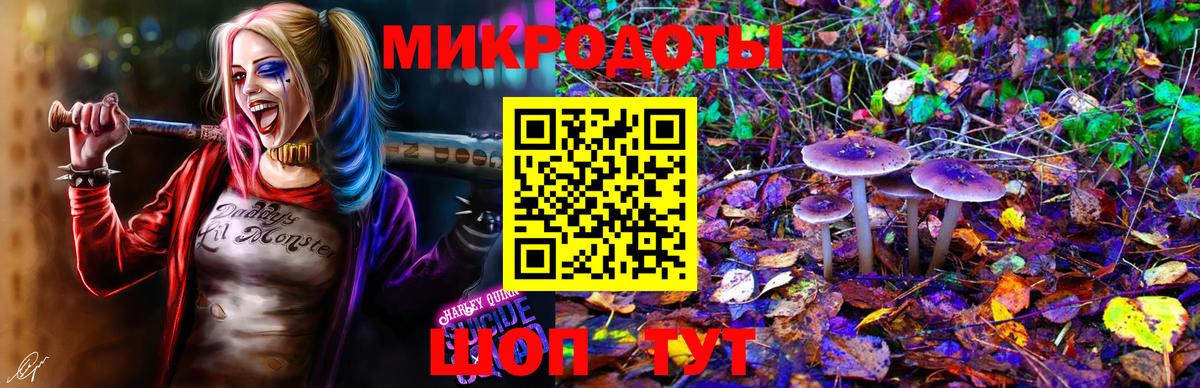 Псилоцибиновые грибы Magic Shrooms  Вход с VPN  Северобайкальск  Галлюциногенные грибы MAGIC MUSHROOMS 